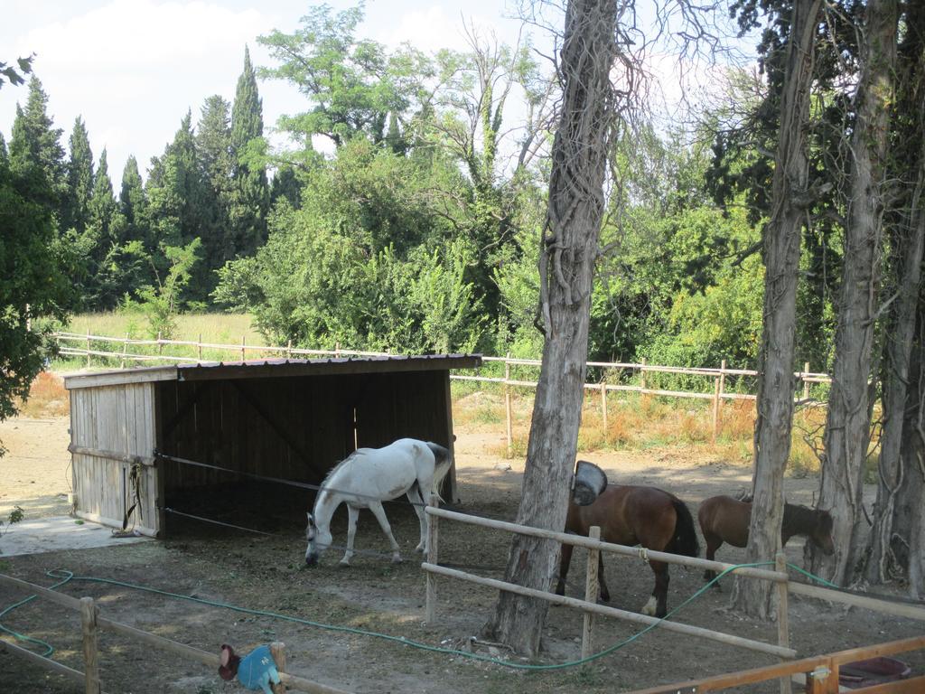 Mas Le Nathakassou Holiday home Cabannes