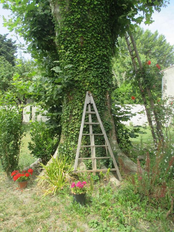 Mas Le Nathakassou Holiday home *